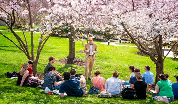 Professor lecturing to students under the cherry blossom trees on campus